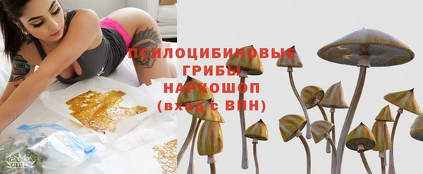 МДПВ Чекалин