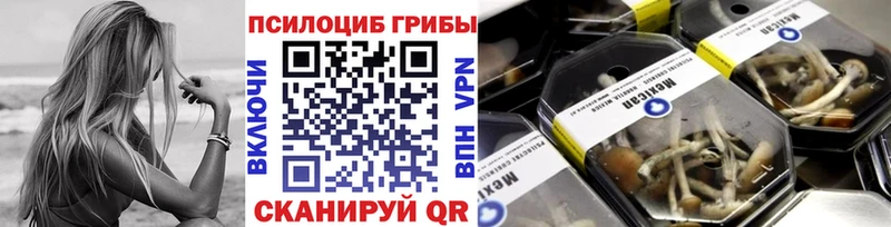 наркота  Далматово  Псилоцибиновые грибы мицелий 